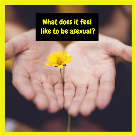 What It’s Like to Be Asexual & Sex